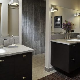 doorway to bathroom with black vanity, remodeling contractors buffalo grove