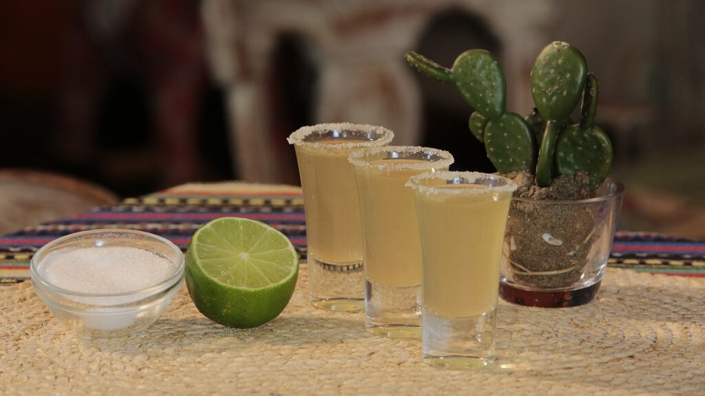 shots with lime and cactus in the background Basement Bar Ideas